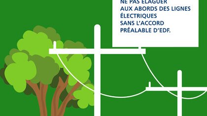 LES RECOMMANDATIONS CONCERNANT L'ÉLAGAGE