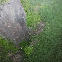 WhatsApp Image 2019 11 16 at 18 09 39