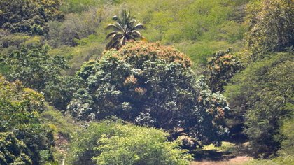 PAPI des Grands-Fonds : Dernier comité de pilotage avant le lancement de la campagne de sensibilisation au risque inondation
