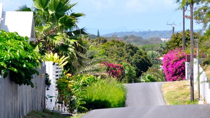 Diagnostic en marchant