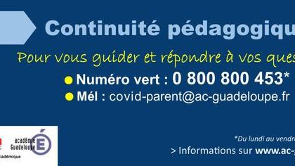 Covid19 : continuité pédagogique