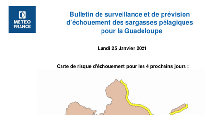SURVEILLANCE DES SARGASSES 2021