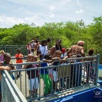 Vert/cartons/gravats/tout venant/ fer et assimilé ...