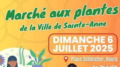MARCHE AUX PLANTES DE SAINTE-ANNE 