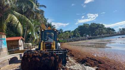 Point sargasses (septembre 2021) : D'UNE GESTION D'URGENCE À UNE GESTION SUR LE LONG TERME 