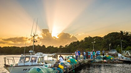 Commission développement durable