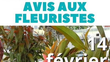 AVIS AUX FLEURISTES