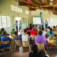 De la larve au moustique qui pique !
