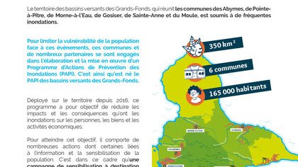 Programme d'Actions de Prévention des Inondations (PAPI)