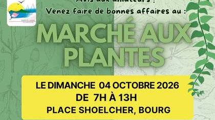 MARCHÉ AUX PLANTES