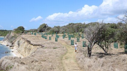 PROJET MOBBIODIV : un aménagement durable pour lutter contre l'érosion du littoral