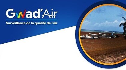 Sargasses : étude Gwad'Air sur les émanations gazeuses en 2019