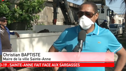 Opérations de ramassage d'algues sargasses pendant le confinement