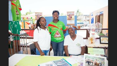 LE VOLCAN DE SAINTE-ANNE 