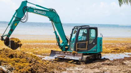 2,5 Millions d'euros inscrits au budget du Ministère des Outre- mer pour lutter contre les sargasses : Christian BAPTISTE, le Maire de la Ville de Sainte-Anne se réjouit de cette annonce