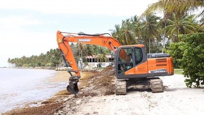 Face aux derniers arrivages d'algues sargasses, la Ville de Sainte-Anne poursuit son action communale