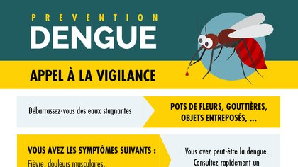 Dengue : se mobiliser contre l'épidémie