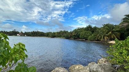 Sainte-Anne se dote de barrages anti-sargasses