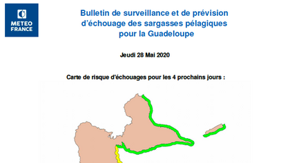 Sargasses : bulletin de surveillance et de prévision de Météo-France du jeudi 28 mai 2020