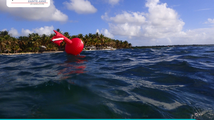 SARGASSES : Démarrage des études préalables à l'installation de barrages déviants à Sainte-Anne 
