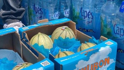 PLAN DE SOLIDARITE : DES PANIERS « PEYI » ET DES MELONS DISTRIBUES A LA POPULATION PAR LE CCAS ET LES ELUS