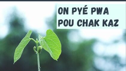 Journée Internationale de la Terre 2020 : On pyé Pwa pou chak kaz