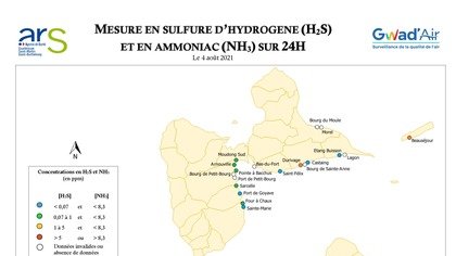 Point Sargasses du 4 Août 2021