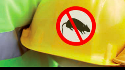 AVIS AUX PARENTS DES ELEVES DE L'ECOLE ELEMENTAIRE VICTOR VALIER DES GRANDS-FONDS