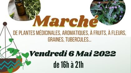 Marché de plantes médicinales à Douville