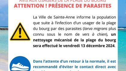 Dispositions prises face à la présence de parasites sur la plage du Bourg
