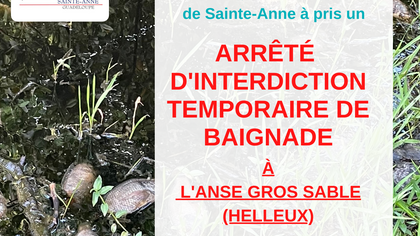Signalements de poissons morts à l'Anse Gros Sable, au Helleux